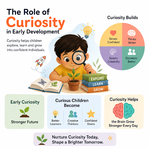 Role of Curiosity in Early Development