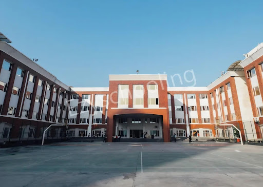 Sapphire International School, Noida 